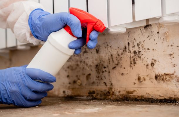 Mold-Remediation-in-Wichita Falls-Texas