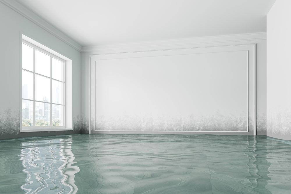 Water-Damage-Restoration-Wichita Falls-nv